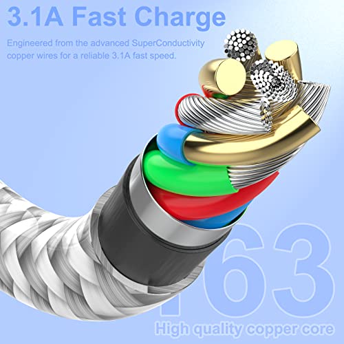 Apple MFi Lightning Charger Cable 6-Pack, 10 Ft