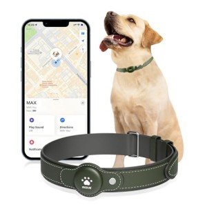 Smart GPS Dog Collar - 2-in-1 Tracker Tag