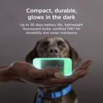 Petcube GPS Dog Tracker with Escape Alerts