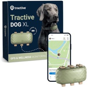 Tractive GPS for Dogs XL - Real-Time Tracking