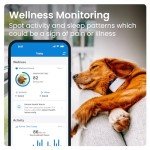 Tractive GPS Dog Collar – Live Tracking & Alerts