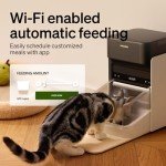 Smart Cat Feeder with App Control & RFID Tag