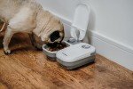 Automatic Cat Feeder for 2 Meals with Timer