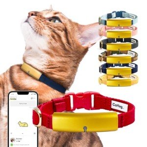Smart Cat Collar Health Tracker with Alerts (Red)