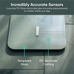 WYZE Smart Scale X: Body Composition Analyzer for Pets