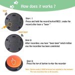 Voice Recording Dog Training Buttons – 4 Pack