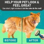 Dual-Sided Pet Grooming Brush for Dogs and Cats