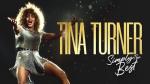 Tina Turner: Simply the Best