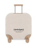 Artrips 20" Hardside Carry-On Luggage with Spinner Wheels
