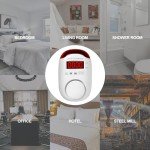 2-in-1 Gas and Carbon Monoxide Detector Alarm
