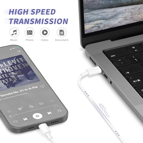 iPad Charger 12W with 2 Charging Cables
