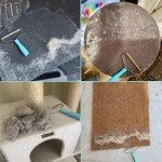 Pet Hair Remover – Easy and Reusable Tool