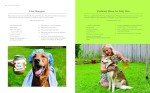 Healthy Dog Life: 120+ Recipes & Tips