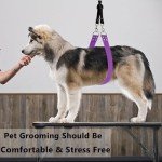 Pet Dog Grooming Belly Support Loop - Purple