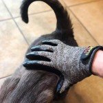 Otis & Claude Pet Grooming Gloves - Adjustable