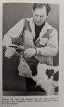 Training and Care for Versatile Hunting Dogs