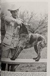 Training and Care for Versatile Hunting Dogs