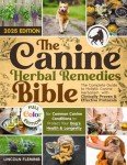 Holistic Herbal Remedies for Dogs: Complete Guide