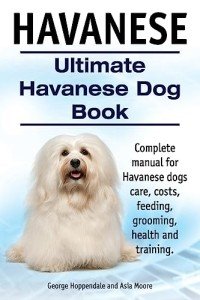 Ultimate Guide to Havanese Care & Training