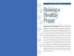 The Healthy Dog Handbook for Happy, Active Pets