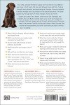 Labrador Retriever Puppy Development Guide: Month by Month