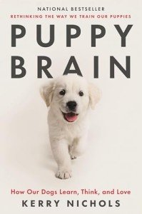 Puppy Brain: Understanding How Dogs Think and Learn