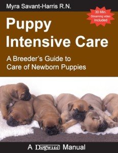 Puppy Care Guide: Essential Tips for Newborns