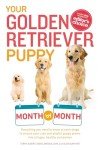 Golden Retriever Puppy Guide: Month by Month Tips
