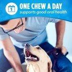 Purina DentaLife Large Dog Dental Chews - 18 ct