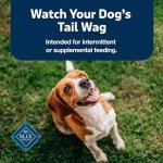Blue Buffalo Beef Pepperoni-Style Dog Treats, 13 oz