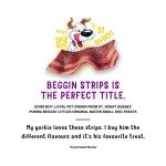 Purina Beggin' Fun Size Bacon Dog Treats 25 oz