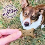 Old Mother Hubbard P-Nuttier Dog Treats 20oz