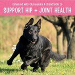 Full Moon Chicken Jerky Dog Treats for Joints