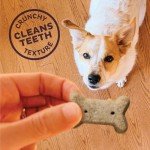 Old Mother Hubbard P-Nuttier Dog Treats 20oz