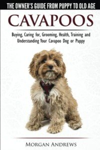 Cavapoos: A Complete Owner's Guide to Care