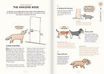 Happy Dog Care & Training: An Illustrated Guide