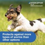 Interceptor Plus Heartworm & Worm Prevention for Dogs 2-8 lbs
