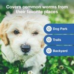 Interceptor Plus Heartworm & Worm Prevention for Dogs 2-8 lbs