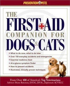 Essential First-Aid Kit for Dogs and Cats