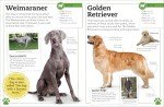 Dogs and Puppies: Your Fun Fact Guide
