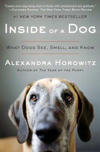 What Dogs See, Smell, and Know Inside