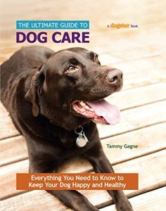 Essential Dog Care Guide for Happy, Healthy Pets
