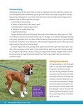 Essential Dog Care Guide for Happy, Healthy Pets