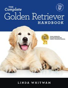 Golden Retriever Handbook for New Owners