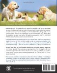 Golden Retriever Handbook for New Owners