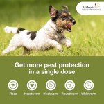 Trifexis Flea & Heartworm Preventive for Dogs