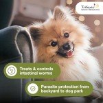 Trifexis Flea & Heartworm Preventive for Dogs
