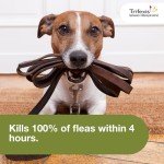 Trifexis Flea & Heartworm Preventive for Dogs