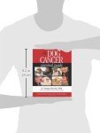 Dog Cancer Survival: Essential Treatments for Quality Life