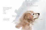 A Dog’s Purpose: I’m Still Here Book